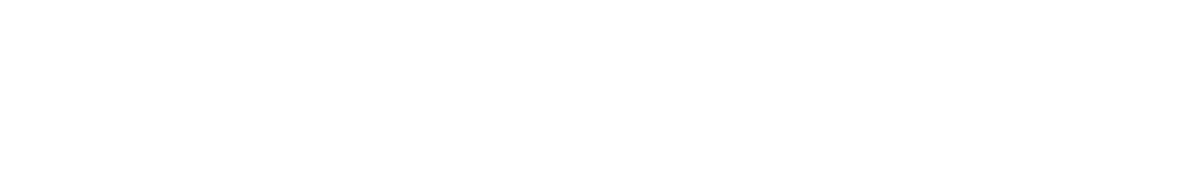Wordmark · full